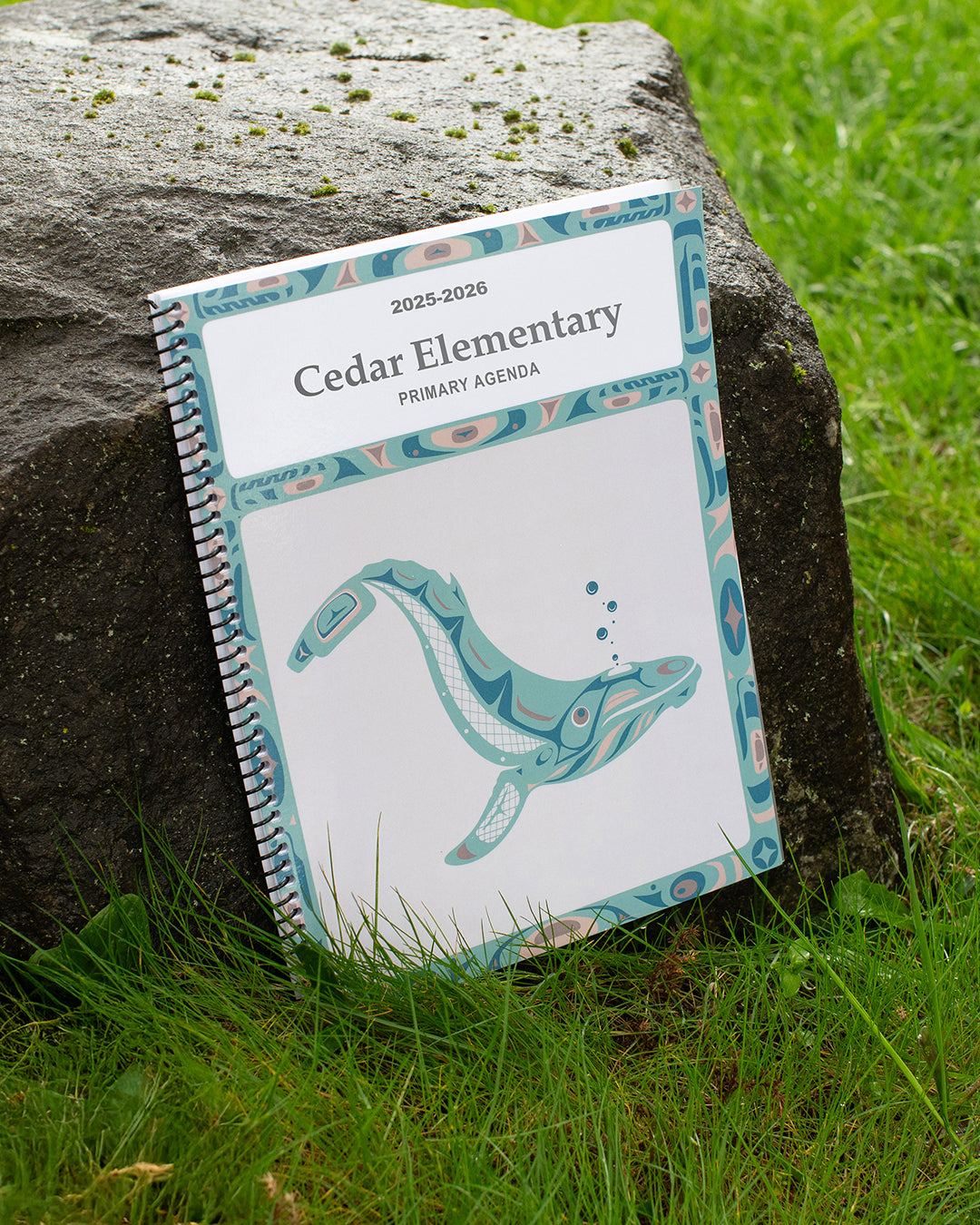 Primary School Agenda 2025/26 - Humpback Whale